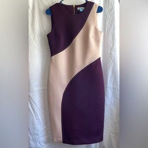 Calvin Klein Plum and Blush Pink Dress
